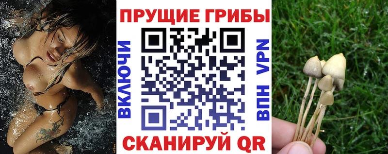 Галлюциногенные грибы прущие грибы  Наволоки 